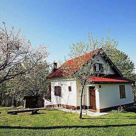 Holiday Home Coprnicka Hisa Skrad エクステリア 写真