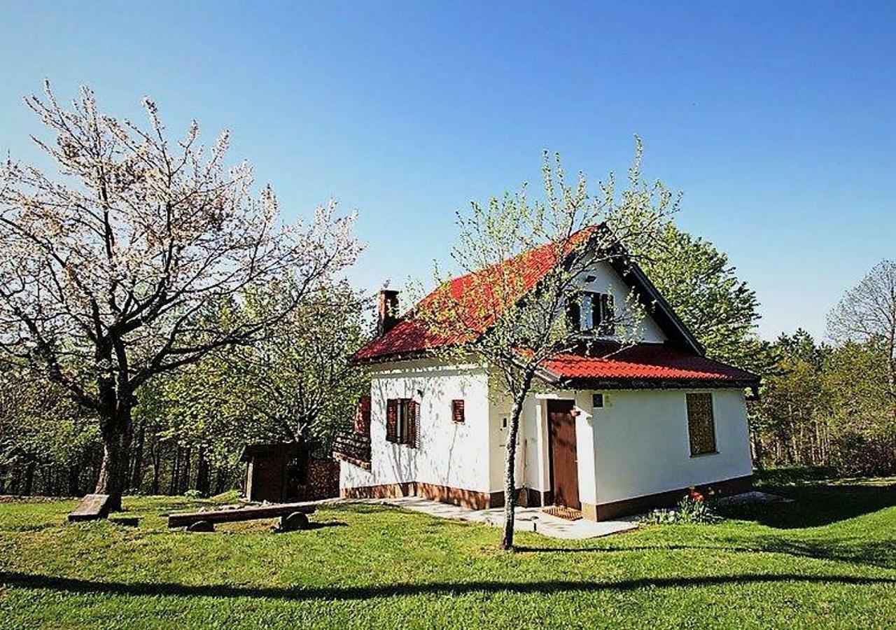 Holiday Home Coprnicka Hisa Skrad エクステリア 写真