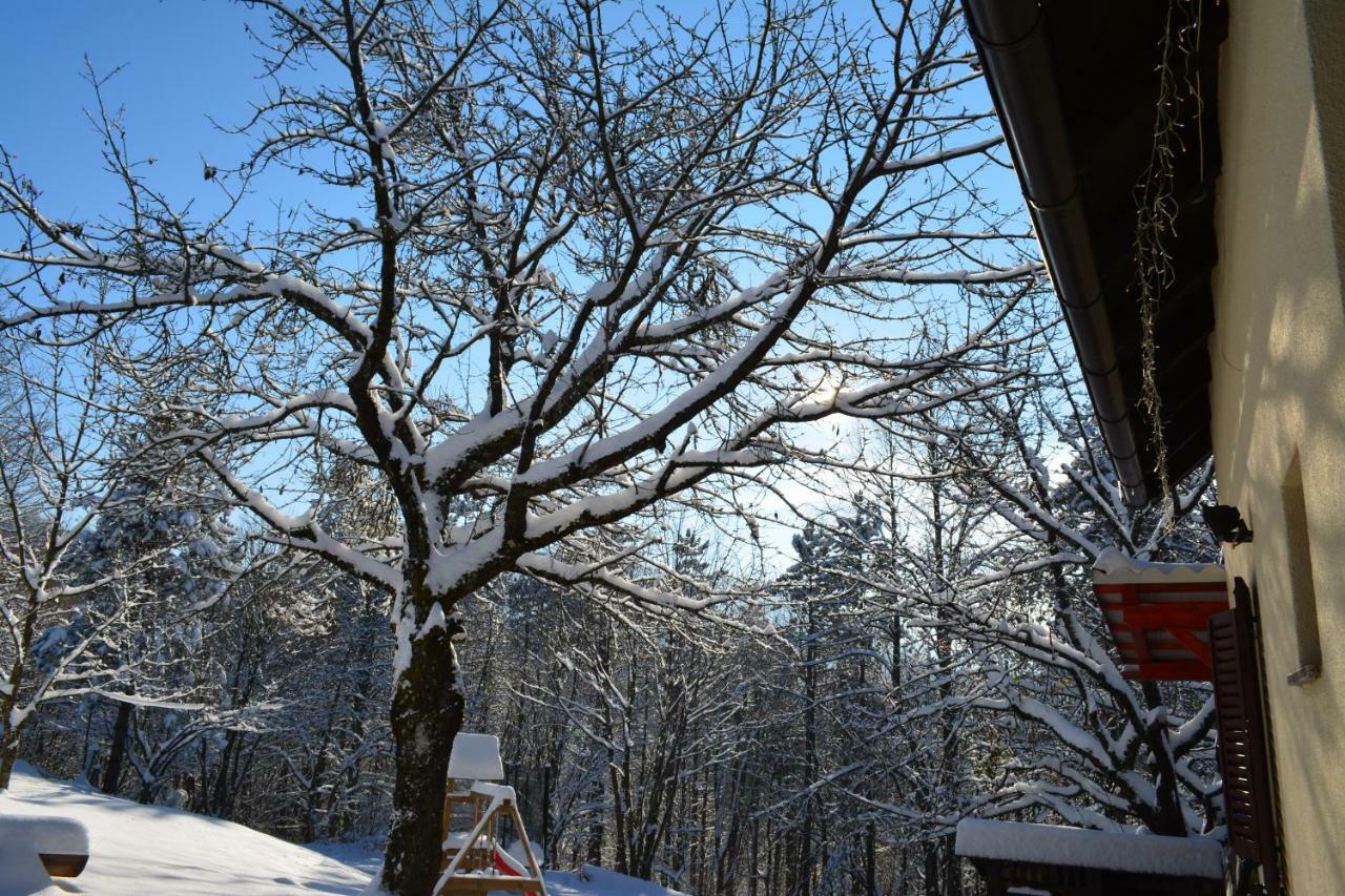 Holiday Home Coprnicka Hisa Skrad エクステリア 写真