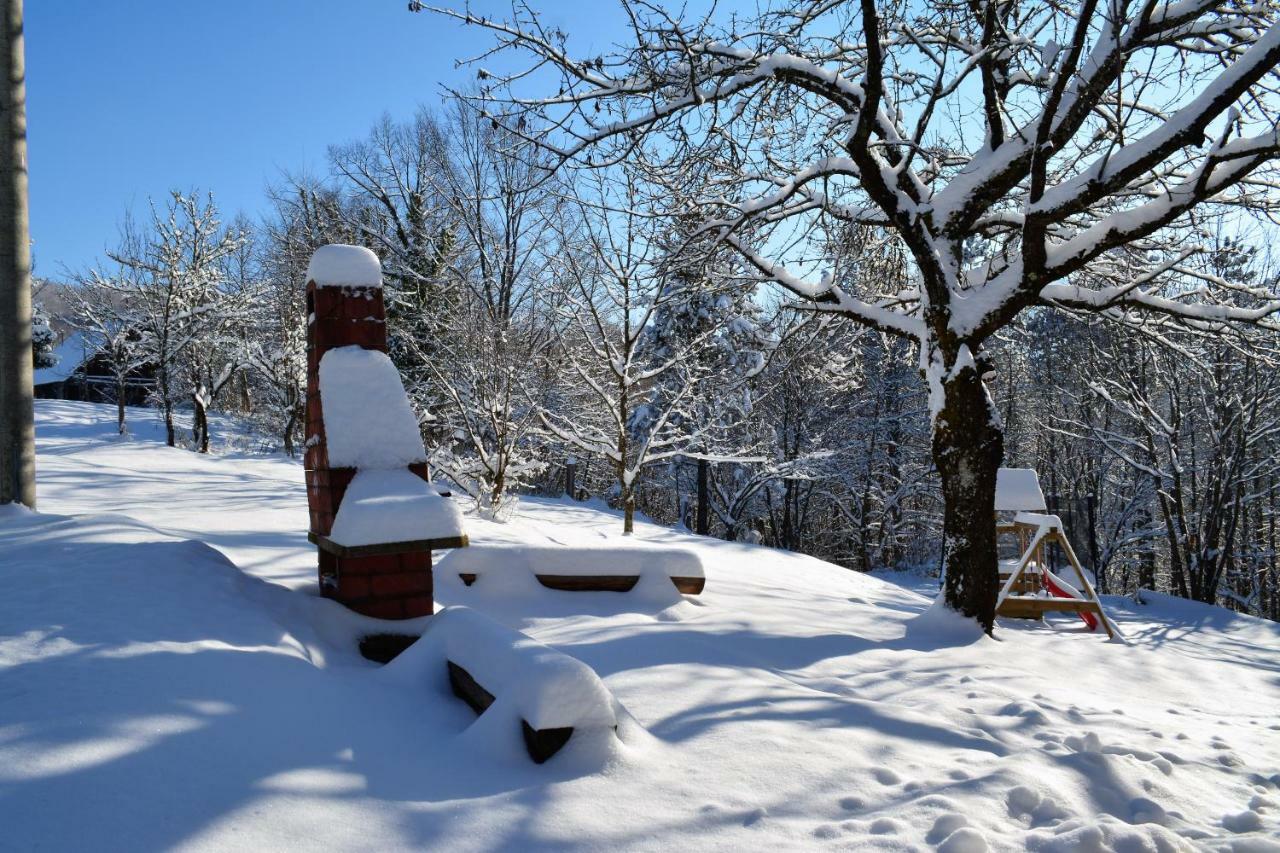 Holiday Home Coprnicka Hisa Skrad エクステリア 写真